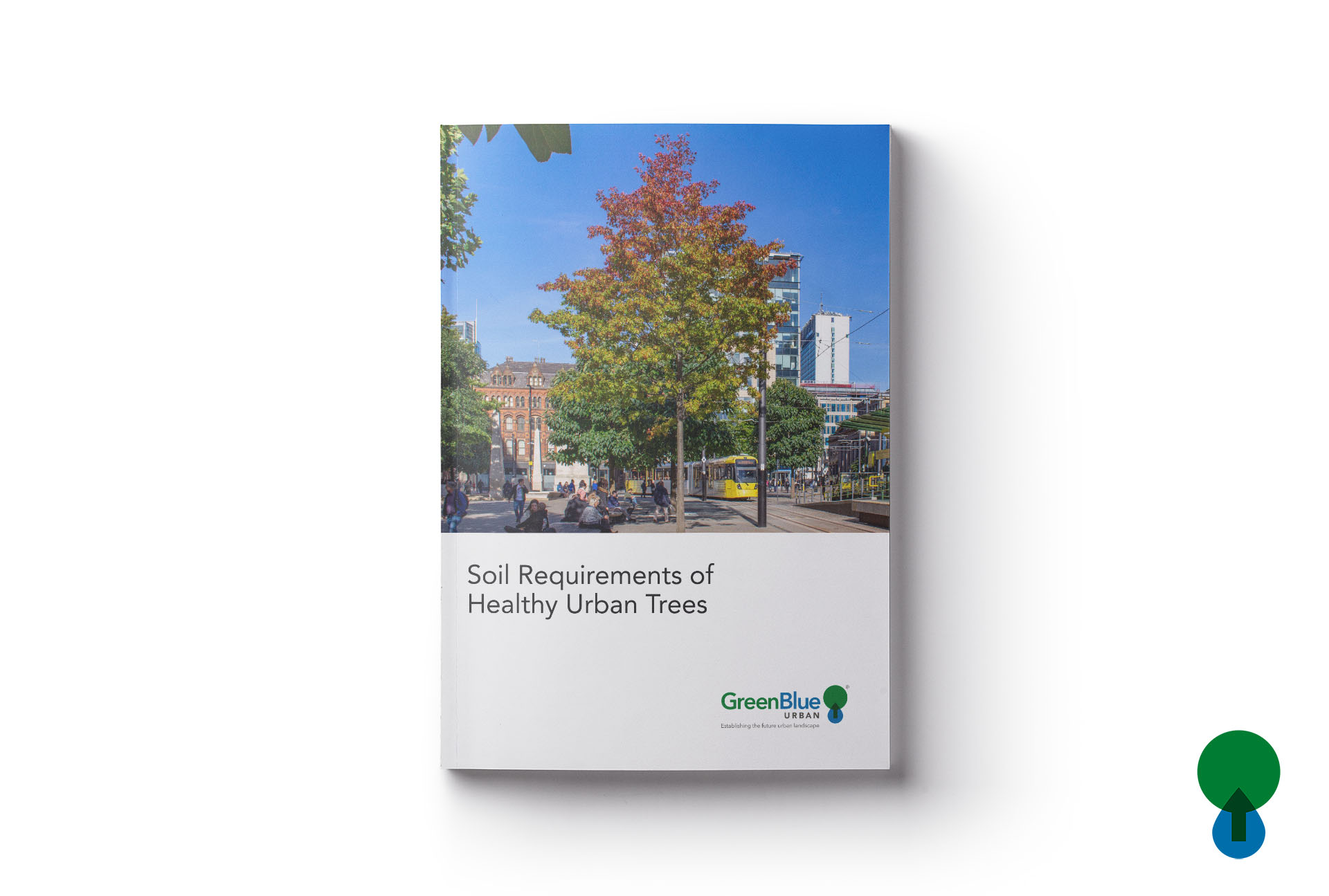 Resource: Soil Requirements of Healthy Urban Trees