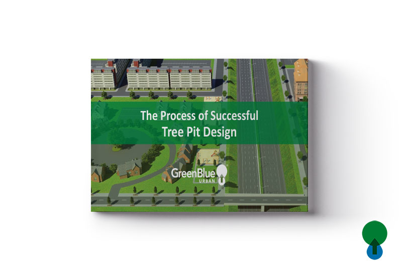 Downloadable Resource: The Process of Successful Tree Pit Design