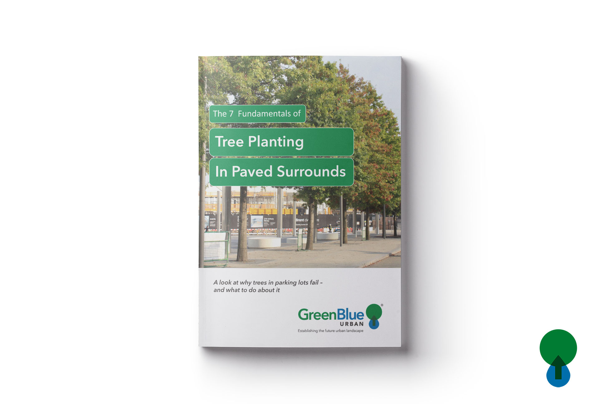 The 7 Fundamentals of Tree Planting in Paved Surrounds