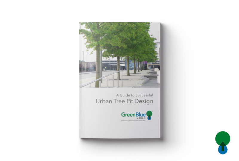 A Guide to Successful Urban Tree Pit Design