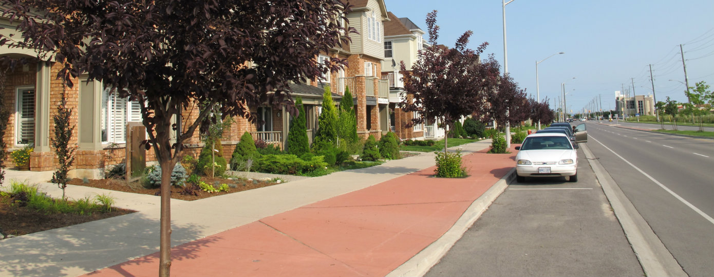When Many Street Trees Start to Fail, Trees in StrataCells Thrive (6 Year Review of Walkers Line Tree Plantings)
