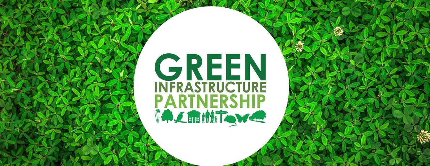 New Green Infrastructure Research Database