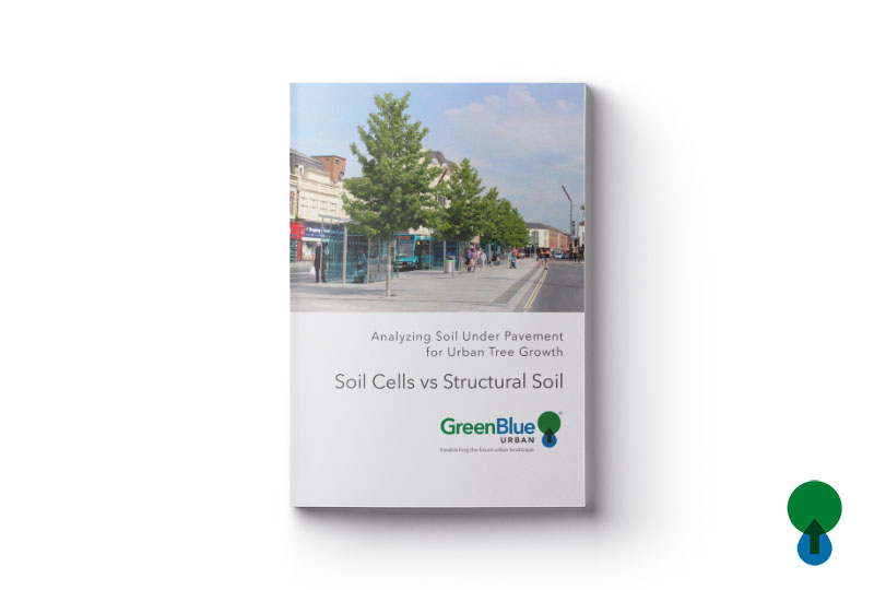 Soil Cells vs Structural Soil: Analyzing Soil Under Pavement