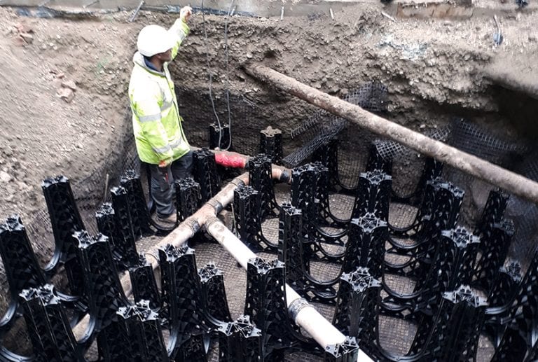 How Trees Improve Air Quality GreenBlue Urban