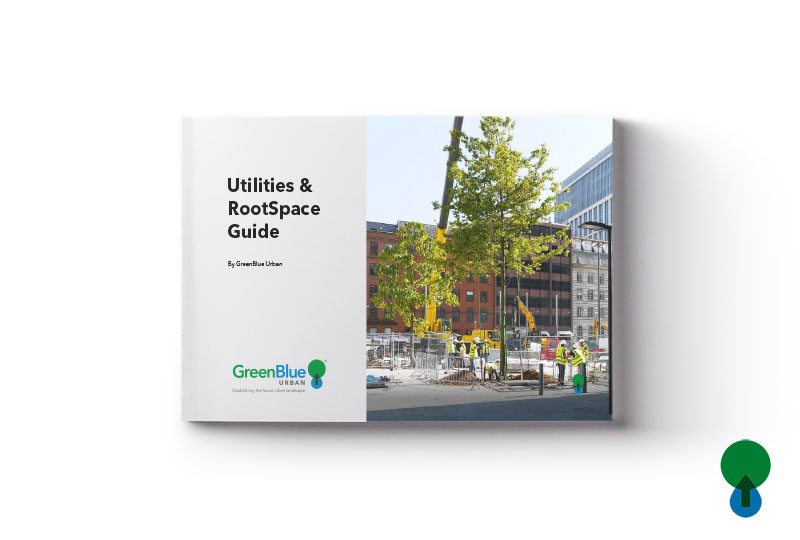 Redes de Servicios y RootSpace (Utilities & RootSpace Guide)