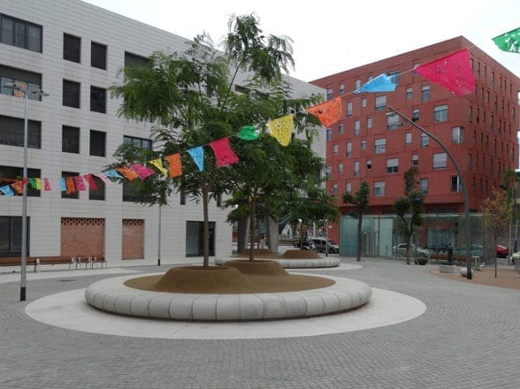 Plaza Eucaliptus