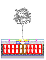 ArborSystem Tree Pit Package