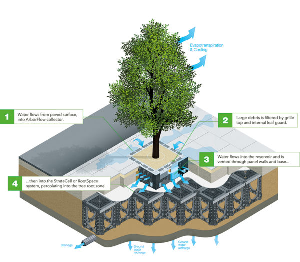 Trees As Elements For Stormwater Management - GreenBlue Urban