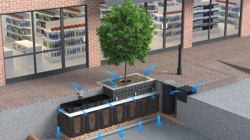 Trees as Elements for Stormwater Management - GreenBlue Urban