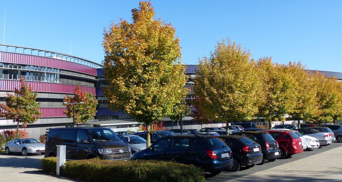 Neue Gymnasium, Bochum