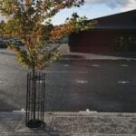 suds tree planting system rootspace
