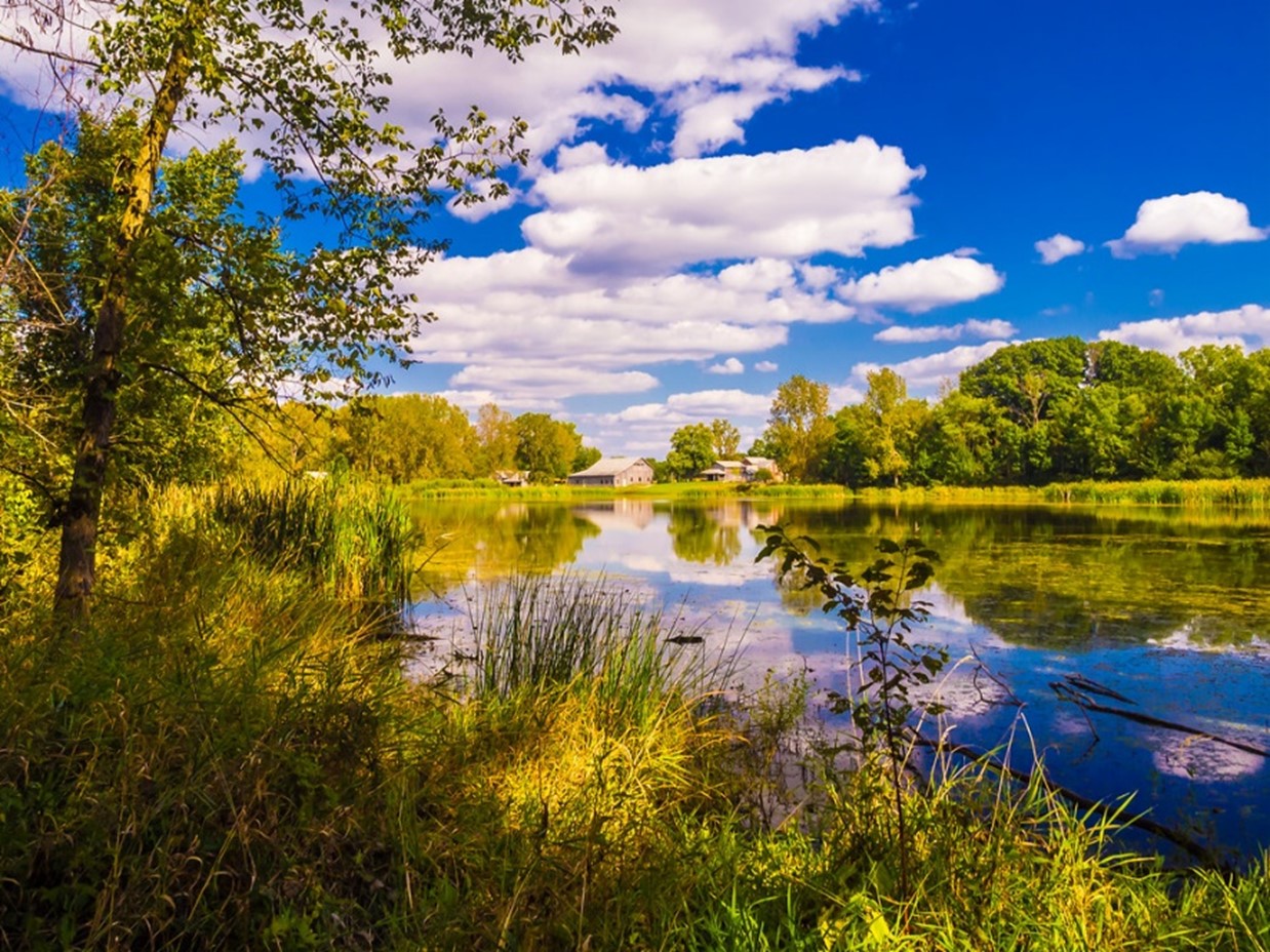 Changing the Landscape of Flood Resilience - GreenBlue Urban