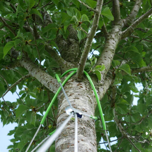 ArborGuy Overhead Guying System
