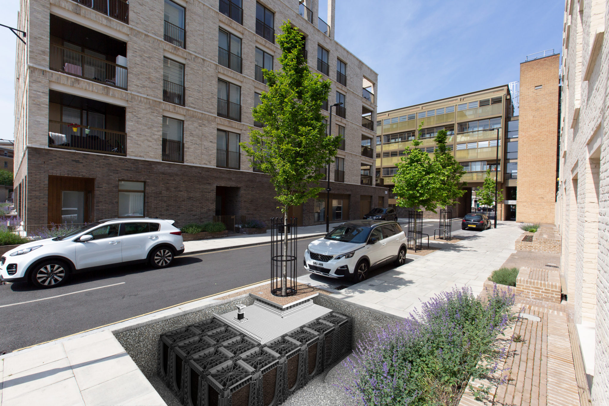 Arbor System - Urban Tree Pit Planting Packages - GreenBlue Urban