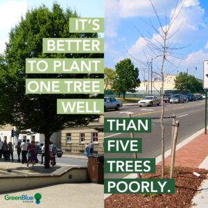 Image showing a large tree vs. a small, dead tree, with the text "It's better to plant one tree well than five trees poorly."