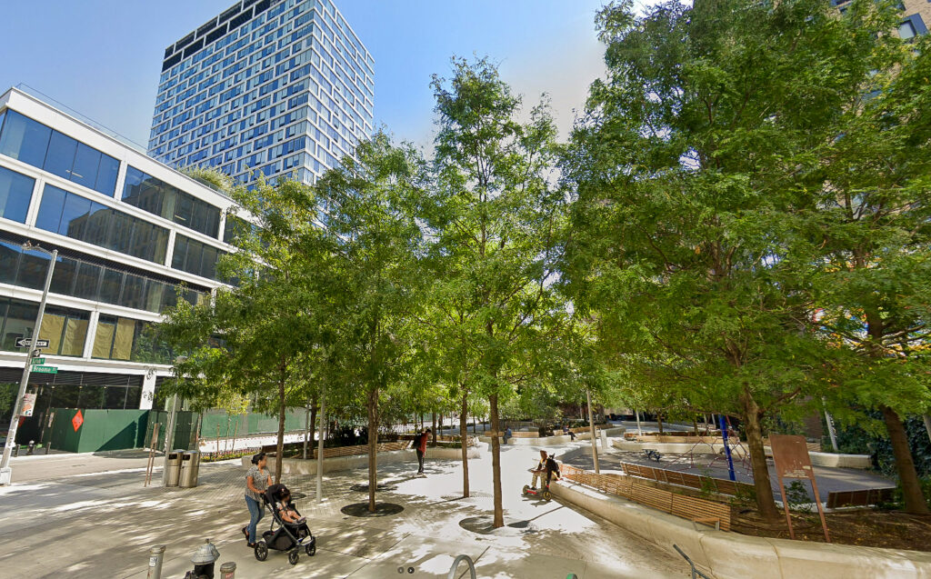 large, green trees in Seward Park