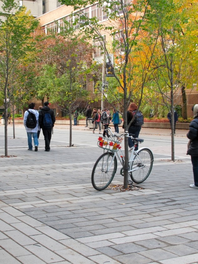 PavingStone Grate, Light Paver Banding