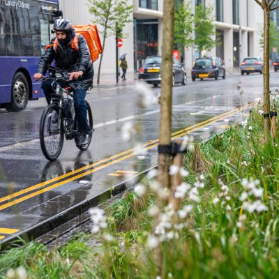 Cardiff, Wood Street - SuDS Raingarden